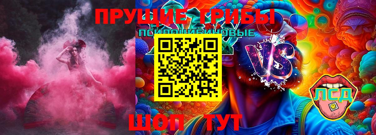 Галлюциногенные грибы Psilocybe  Вход с VPN  Галлюциногенные грибы Psilocybine cubensis  Воронеж 